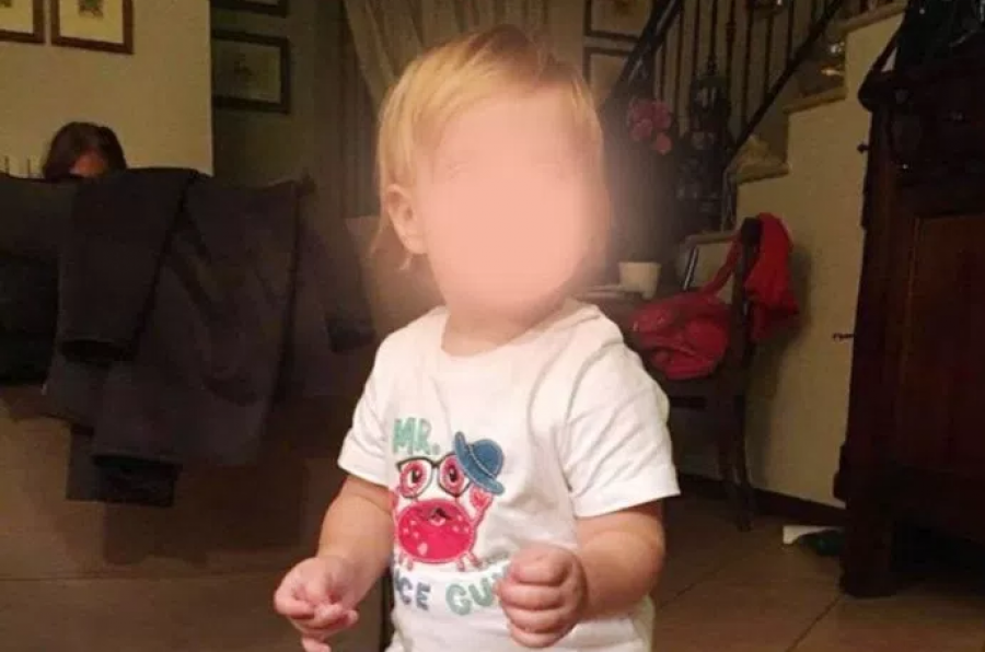 Masakrimi i vogëlushes nga dy pitbullët, nën hetim veterineri dhe prindërit