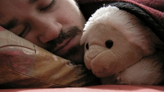 Seksi me kafshët, këto janë preferencat e disa shteteve