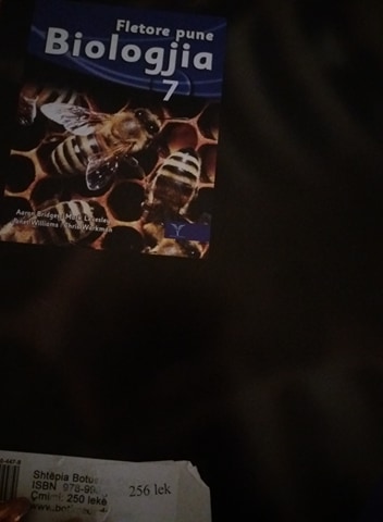 FOTO/Manipulohet çmimi i librave të nëntëvjecares