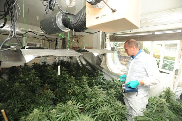 FOTO & EMRAT/ Punoni në “shtëpinë e kanabisit”, dënohen dy shqiptarët në Angli