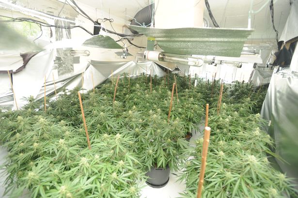 FOTO & EMRAT/ Punoni në “shtëpinë e kanabisit”, dënohen dy shqiptarët në Angli