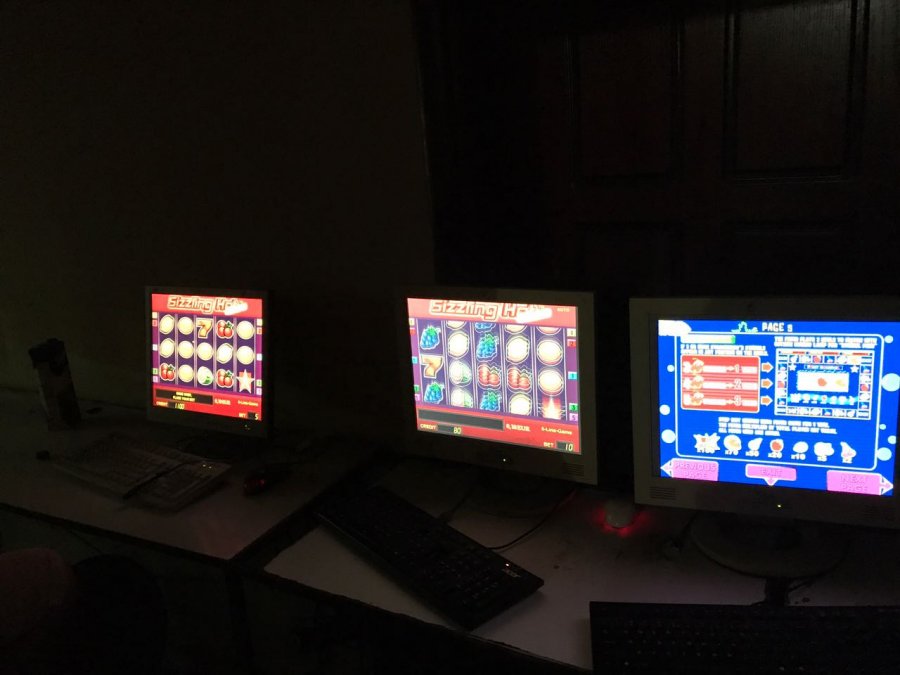 EMRI & FOTO GALERI/ Delvinë, sekuestrohet Lotoja e garave me qen, prangoset pronari