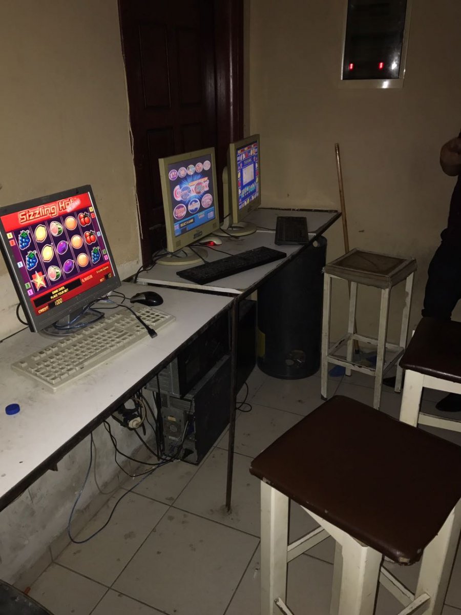 EMRI & FOTO GALERI/ Delvinë, sekuestrohet Lotoja e garave me qen, prangoset pronari