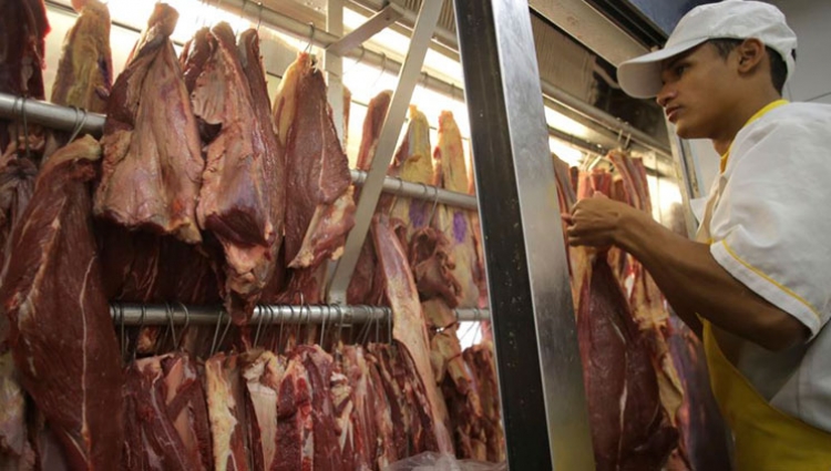 Rinis importimi i mishit nga Brazili drejt Shqipërisë