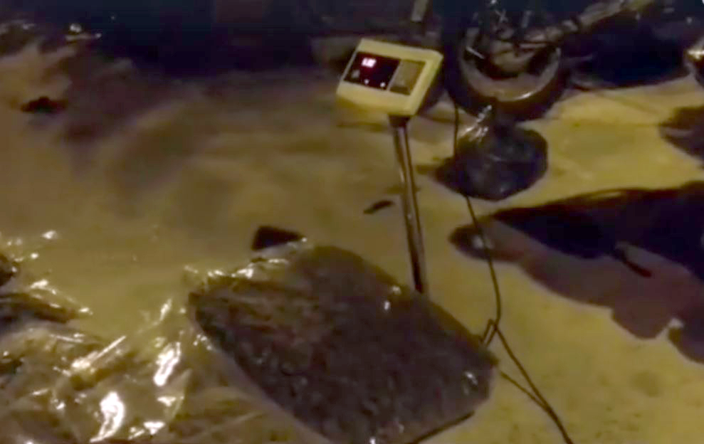 VIDEO/ Vlorë, një i afërt i qeverisë fshehu drogën në vilën qeveritare