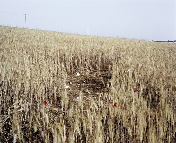 FOTO GALERI/ Largohen për një jetë më të mirë, por i pret skamja dhe prostitucioni