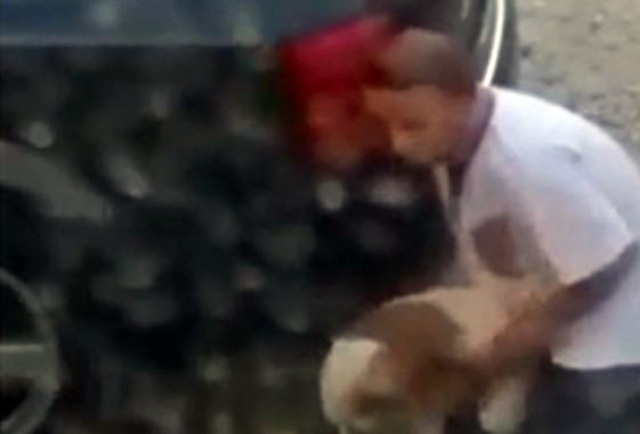 VIDEO +18/ Tiranë, burri përdhunon qenin