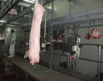 AKU mbyll 28 thertore: Jashtë kushteve higjieno-sanitare