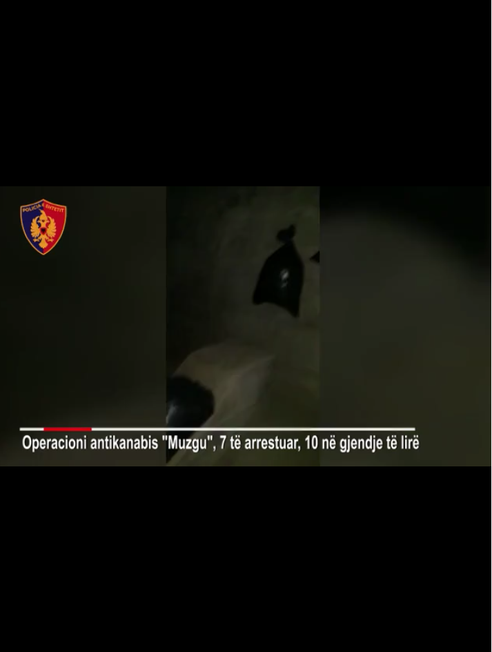 VIDEO/ Zbulimi i tunelit të drogës, pritet të ndëshkohen zyrtarët e policisë