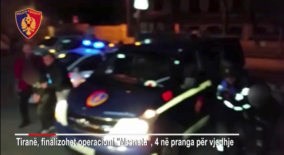 VIDEO/ Tiranë, prangosen minorenet, tmerri i grabitjeve të citeve nga Kodrat e Liqenit