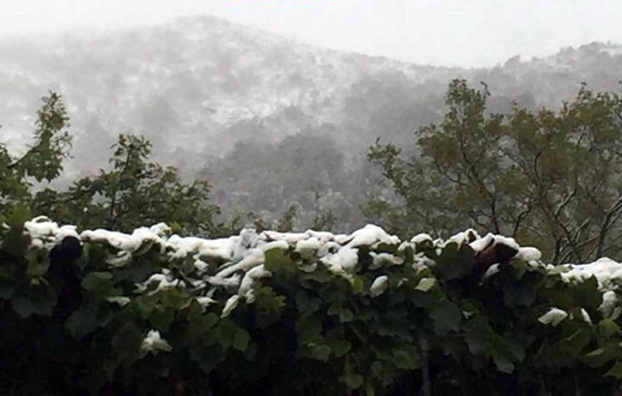 MOTI/ Ja kur pritet të hapet koha, por temperaturat mbeten të ulëta