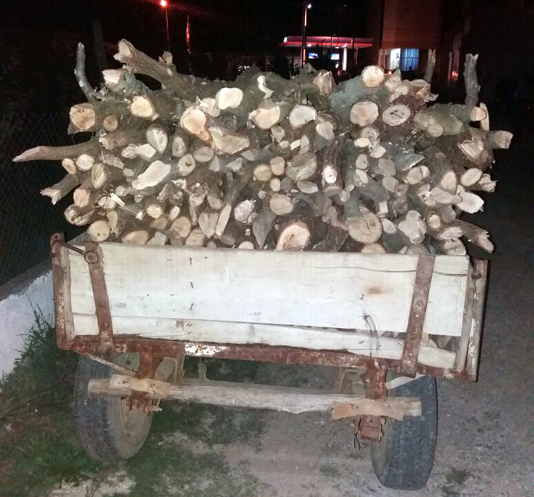 FOTO GALERI/ “Rrafshojnë” pyllin, “rojet” e shtetit ja hedhin me një procedim, “druvarët” i ikin Policisë