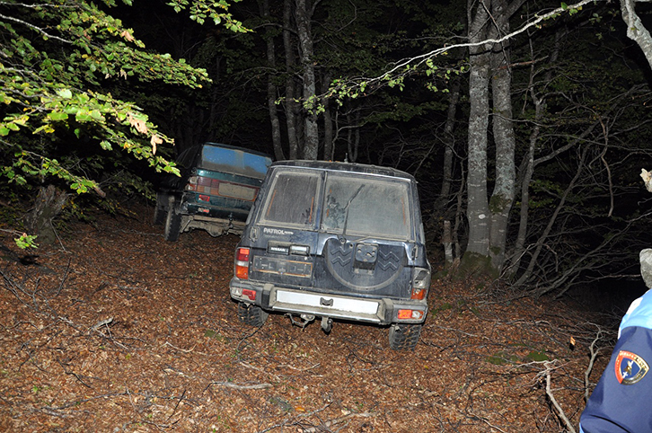 FOTO GALERI/ Për 10 metra kub dru të prera pa leje në pyll ja hedhin me një procedim në gjendje të lirë