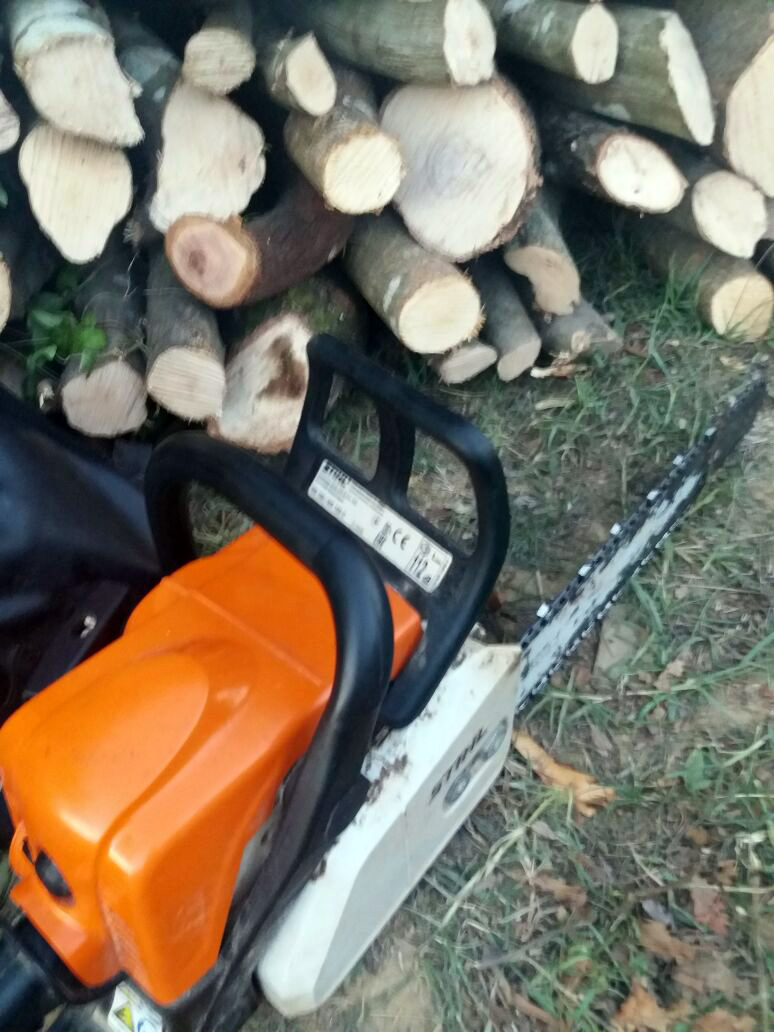 FOTO GALERI/ “Rrafshojnë” pyllin, “rojet” e shtetit ja hedhin me një procedim, “druvarët” i ikin Policisë