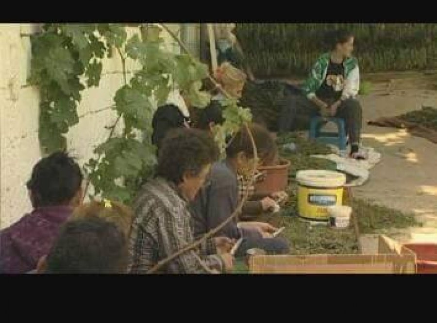 SKANDAL/ Vdes gruaja duke “qethur” hashash në “kullën” e mikut të Ruçit e Tahirit, policia fsheh ngjarjen