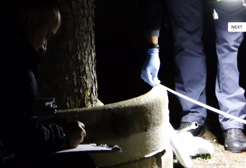 EMRI & VIDEO & FOTO GALERI/ Tragjedi në Itali, shqiptari masakron me çekiç të dashurën