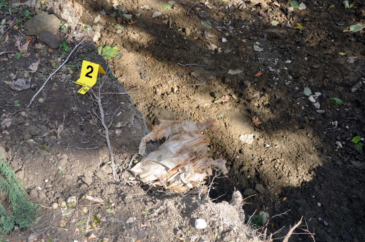 FOTO GALERI/ Elbasan, gjenden “të mbjella” në Parkun “Rinia”, 4 “Kallashnikovë”