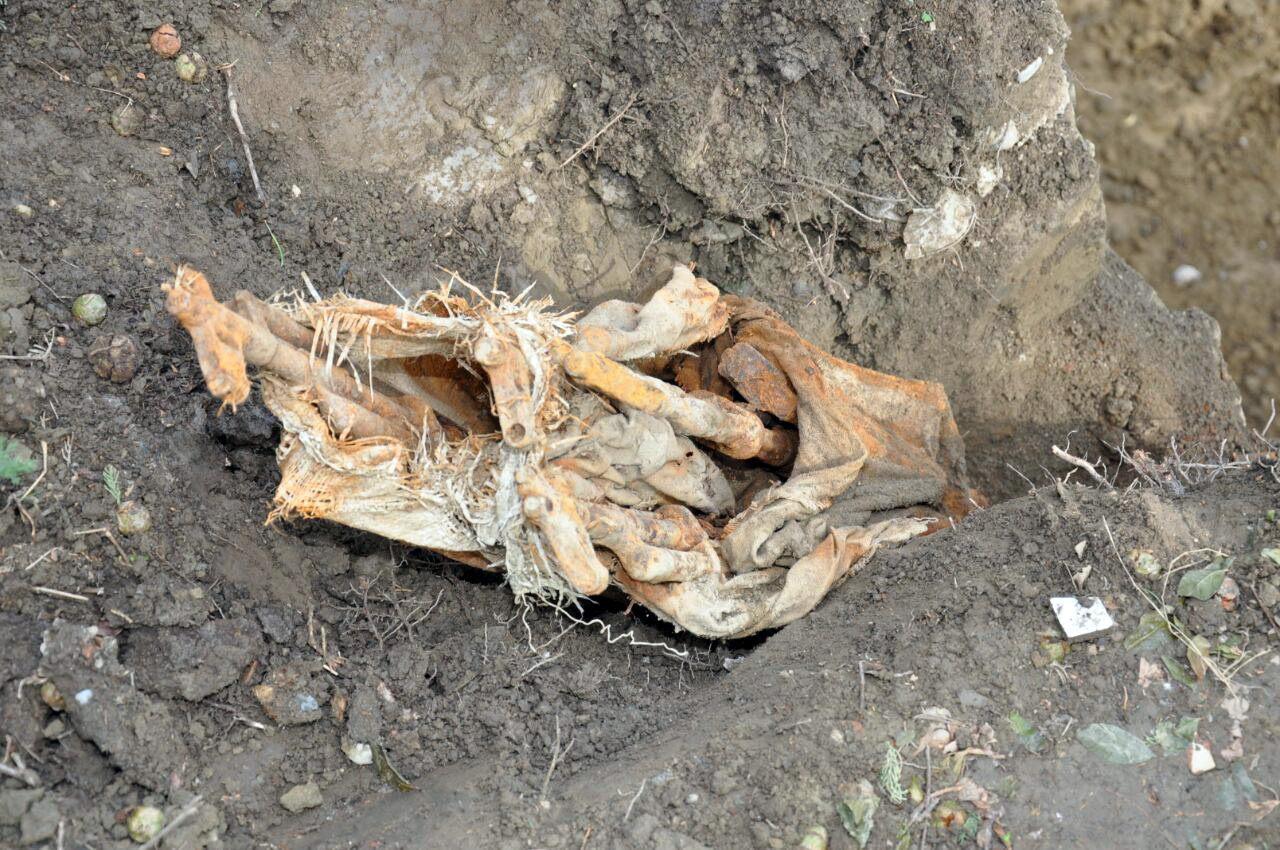 FOTO GALERI/ Elbasan, gjenden “të mbjella” në Parkun “Rinia”, 4 “Kallashnikovë”