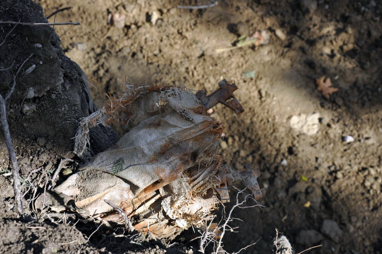 FOTO GALERI/ Elbasan, gjenden “të mbjella” në Parkun “Rinia”, 4 “Kallashnikovë”