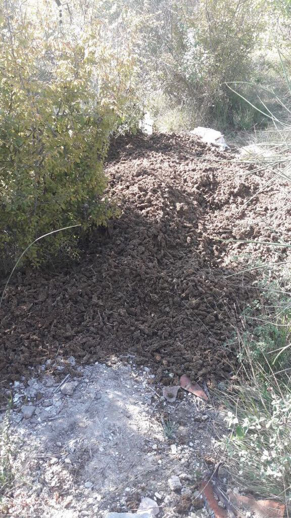 FOTO GALERI/ Tiranë, Policia gjen në shkurre 109 kg kanabis të braktisur
