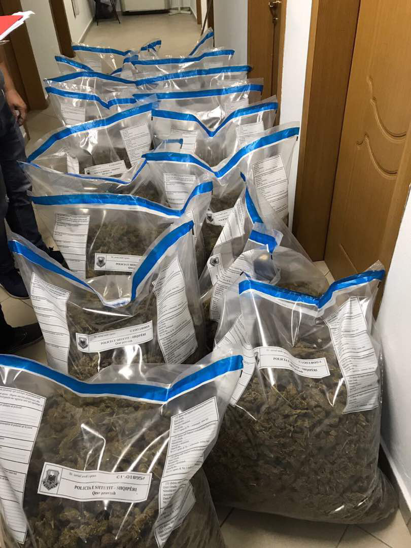 FOTO GALERI/ Tiranë, Policia gjen në shkurre 109 kg kanabis të braktisur