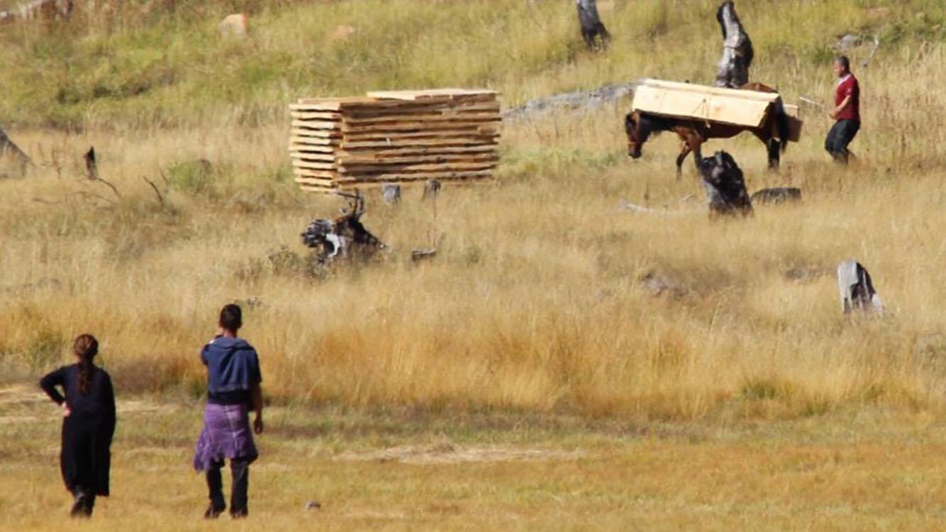 FOTO LAJM/ Foto “të freskëta”, vazhdon masakra e pyjeve në Lurë