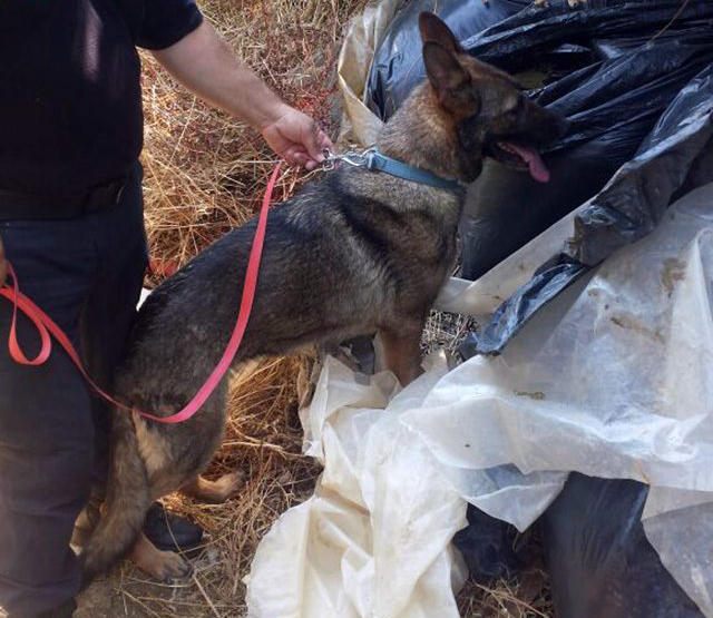 EMRAT/ Krimet e Rënda, mbyllen hetimet për tonelatat me drogë të Vezhdanishtit dhe Treblovës, dosja dërgohet për gjykim