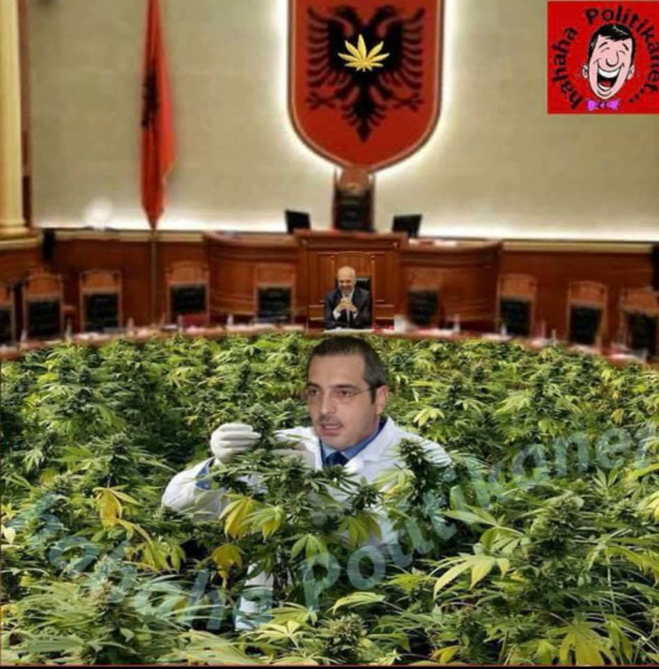 FOTO LAJM/ Saimir Tahiri “noton” në kanabis, Edi Rama gajaset