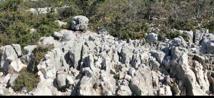 FOTO GALERI/ Sarandë, gjenden 6 kg tritol mes shkëmbinjve e shkurreve
