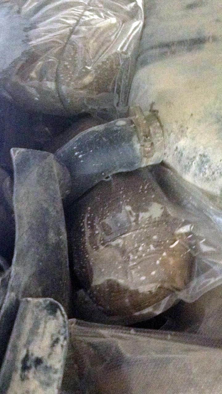 FOTO GALERI/ Shkodër, Maradona dhe Dornela kapen me 21 kg kanabis në Muriqan