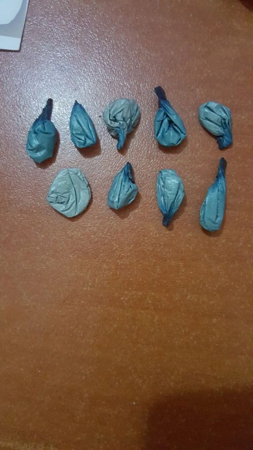 VIDEO/ Dy operacione antidrogë në 24 h, proçedohen tre persona