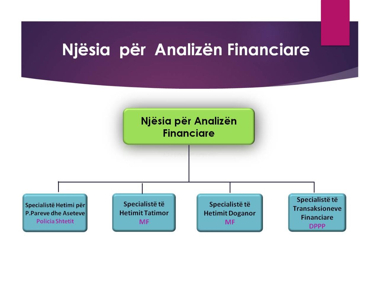 SKEMA/ Ja përmbajtja e operacionit “Forca e Ligjit” që do të godasë peshqit e mëdhenj