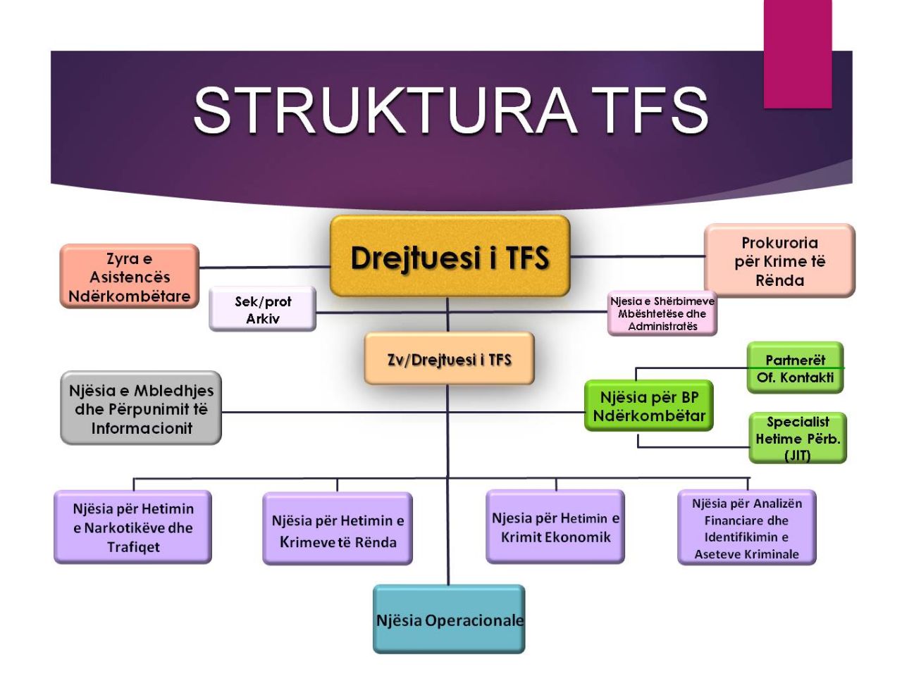 SKEMA/ Ja përmbajtja e operacionit “Forca e Ligjit” që do të godasë peshqit e mëdhenj