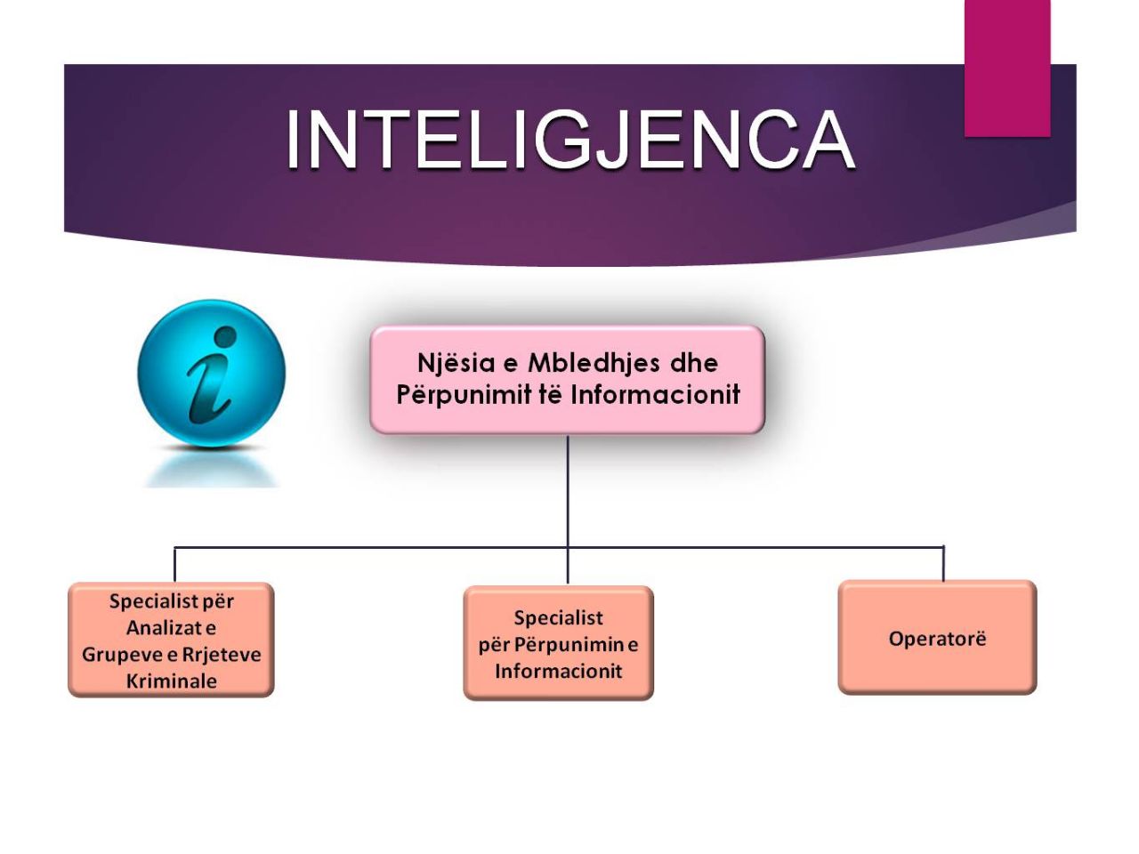 SKEMA/ Ja përmbajtja e operacionit “Forca e Ligjit” që do të godasë peshqit e mëdhenj