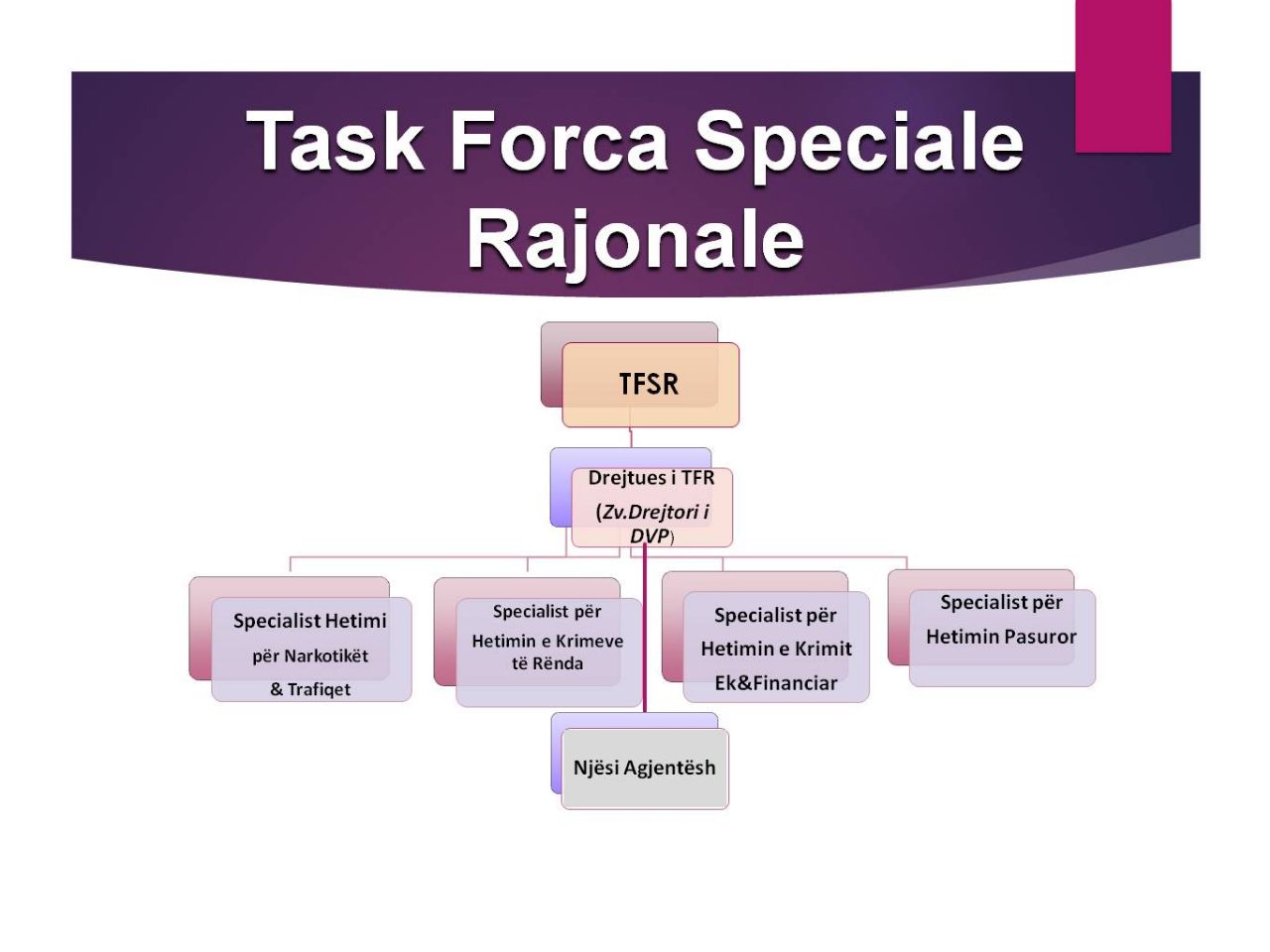 SKEMA/ Ja përmbajtja e operacionit “Forca e Ligjit” që do të godasë peshqit e mëdhenj