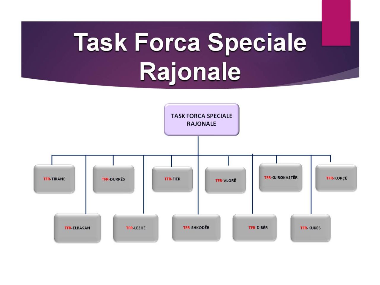 SKEMA/ Ja përmbajtja e operacionit “Forca e Ligjit” që do të godasë peshqit e mëdhenj