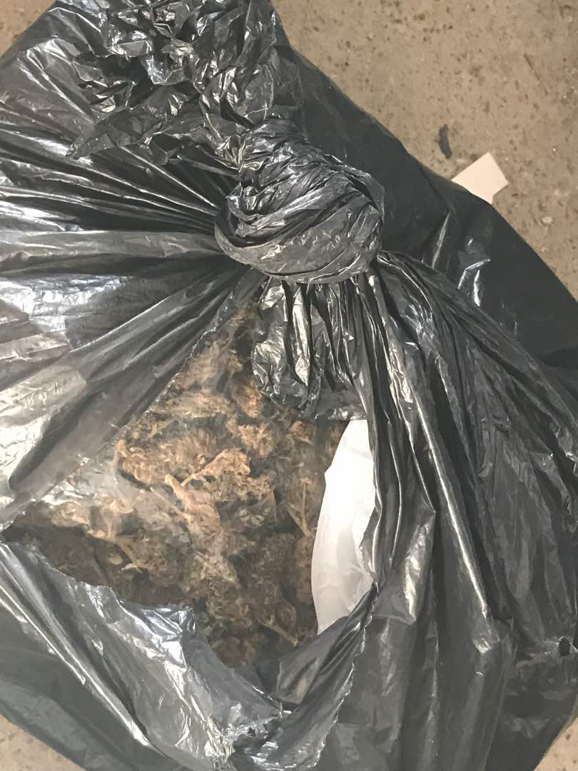 EMRAT & FOTO GALERI/ Tiranë, goditen dy grupe trafikantësh droge, ja çfarë bllokoi Policia