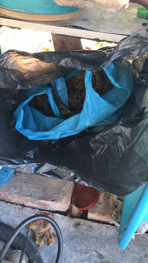 EMRAT & FOTO GALERI/ Tiranë, goditen dy grupe trafikantësh droge, ja çfarë bllokoi Policia