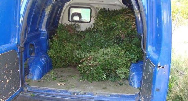 FOTO/ Itali, arrestohen pesë shqiptarë, ja pse u kapën “mat” në pyll