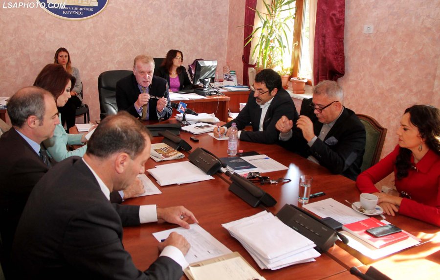 PD: Rama dhe Bushati të na shpjegojnë pse u përjashtuam nga Këshilli i Stabilizim-Asociimit