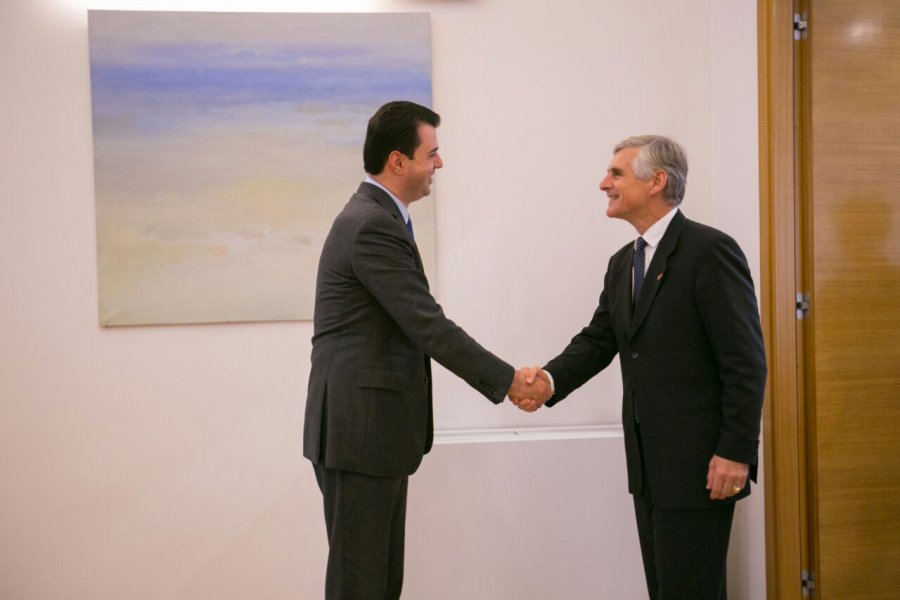 FOTO/ Lulzim Basha takon zv/ministrin e Jashtëm të Austrisë: Kjo qeveri është paralizuar nga krimi dhe korrupsioni