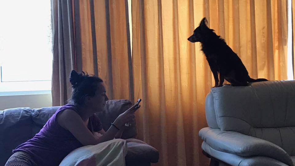 Vajza e aktorit të shquar shqiptar gjendet e vdekur në banesë, për cfarë dyshon policia