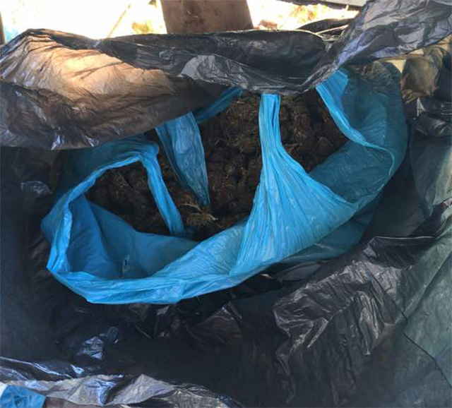 EMRAT & FOTO GALERI/ Tiranë, goditen dy grupe trafikantësh droge, ja çfarë bllokoi Policia