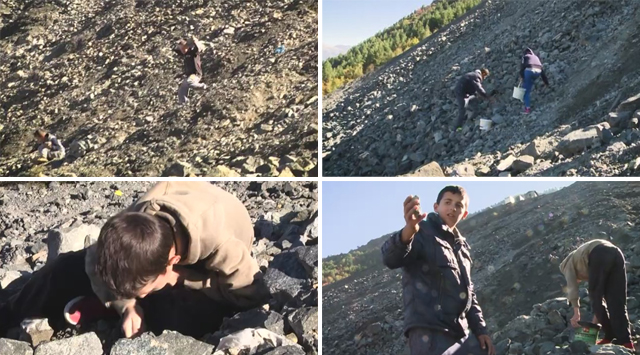 Dita Ndërkombëtare e Fëmijëve, LSI: Të largohen ata që detyrojnë fëmijët e mitur të nxjerrin krom e të shpërndajnë drogë