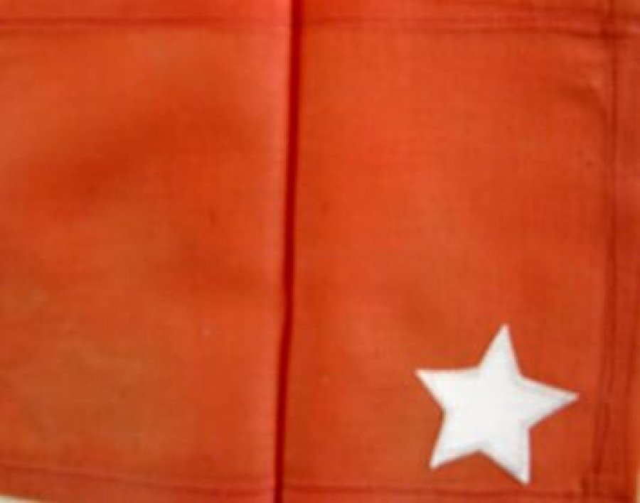 FOTO/ Zbulohet flamuri i propozuar nga Esat Pashë Toptani që mund të zëvendësonte flamurin e kuq me shqiponjë në 1915, ja si duket…