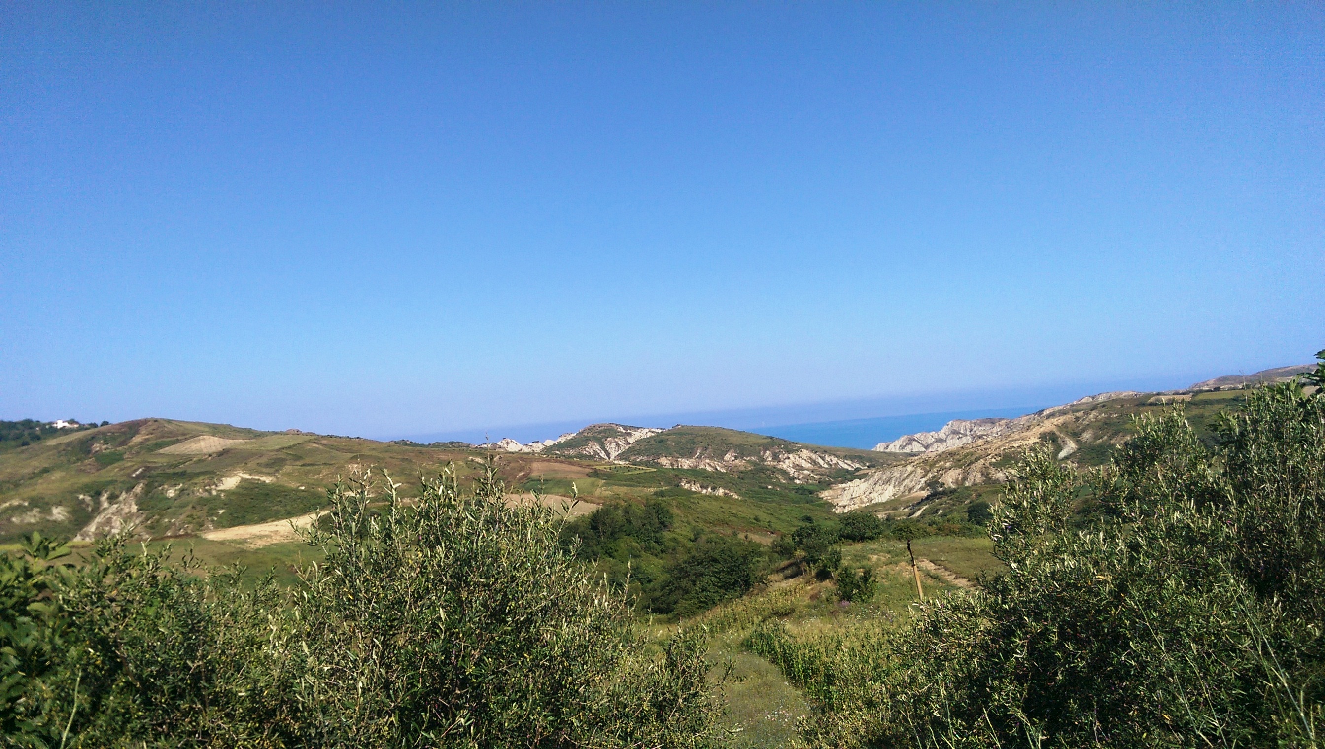 SPECIALE/ Nga shteti te pushtetarët – Skema e grabitjes së 36 ha tokë në bregdetin e Kavajës