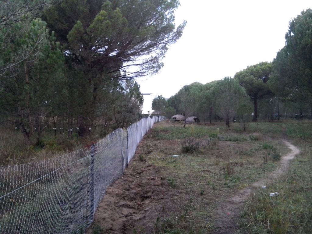 FOTO GALERI/ Biznesmenit të dhunuar libanez i uzurpojnë tokën tek Gjiri i Lalzit me firmën e Vangjush Dakos