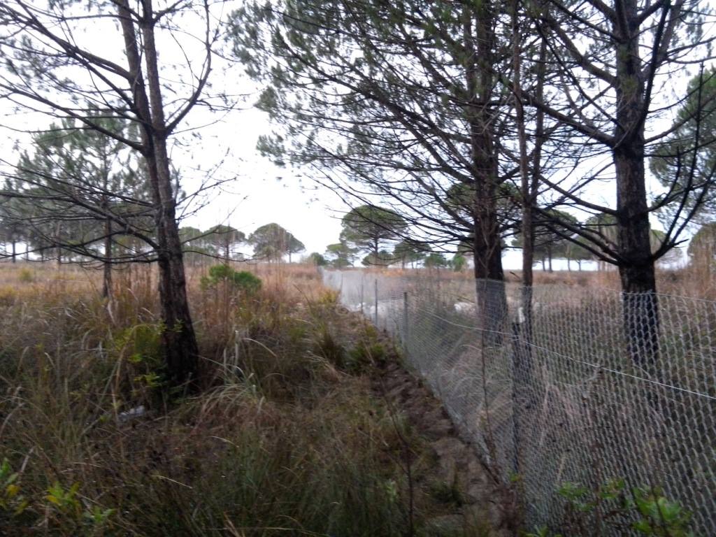 FOTO GALERI/ Biznesmenit të dhunuar libanez i uzurpojnë tokën tek Gjiri i Lalzit me firmën e Vangjush Dakos