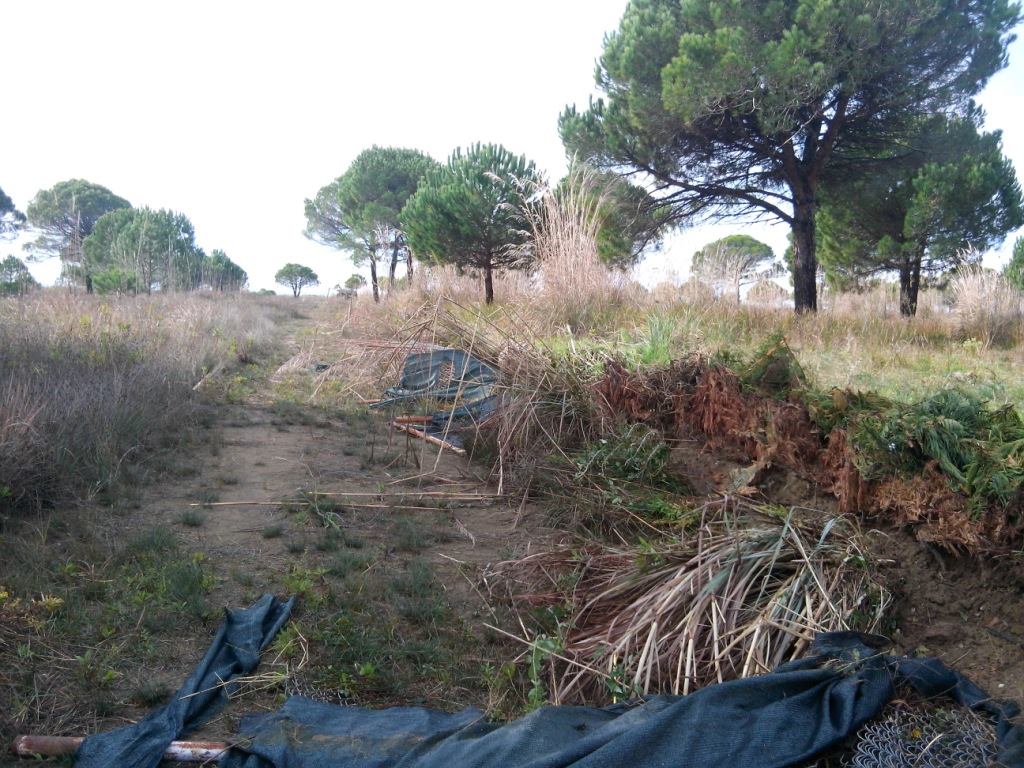 FOTO GALERI/ Biznesmenit të dhunuar libanez i uzurpojnë tokën tek Gjiri i Lalzit me firmën e Vangjush Dakos