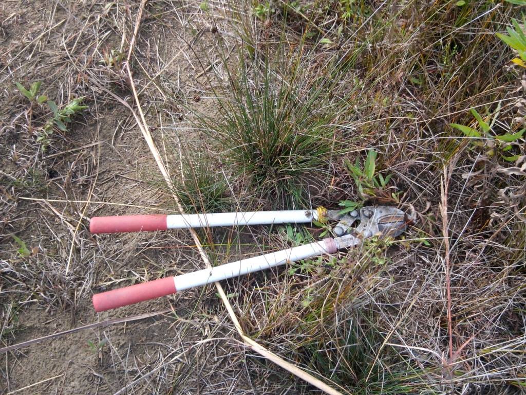 FOTO GALERI/ Biznesmenit të dhunuar libanez i uzurpojnë tokën tek Gjiri i Lalzit me firmën e Vangjush Dakos